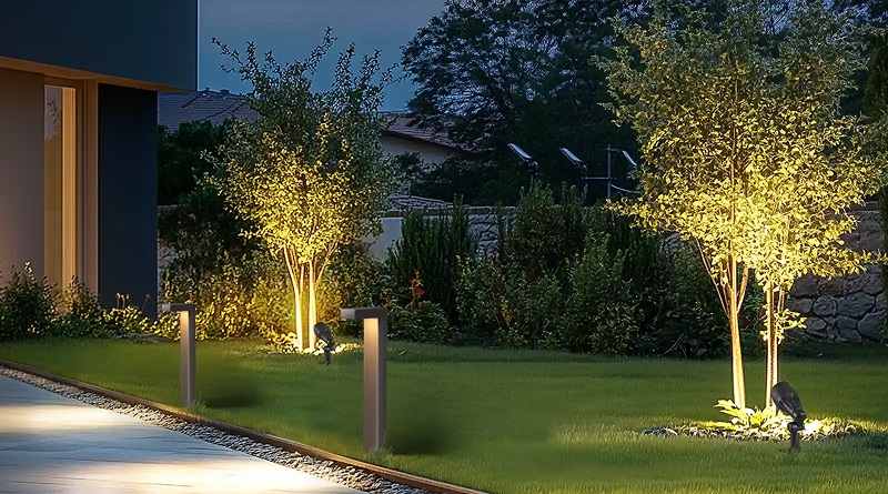 Three-dimensional landscape lighting created by the combination of spotlights on trees and path lights on the ground.
