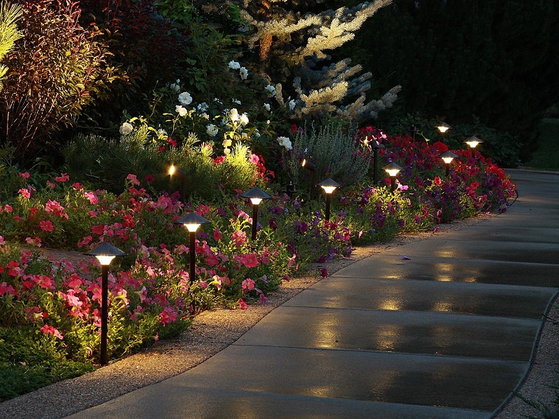 Pathway Lighting for Outdoor Party